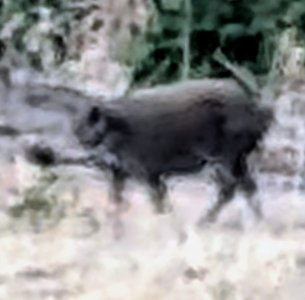 Screenshot_20260813-170006~2.jpg