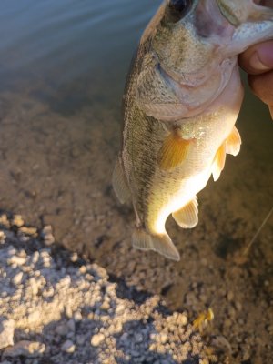 IMG_20260816_074104855.jpg