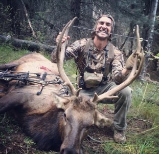elk.jpg