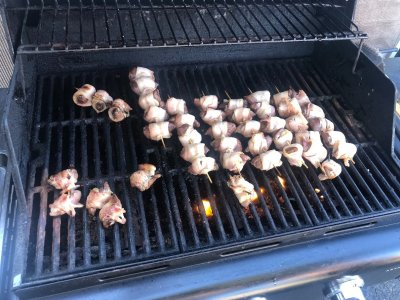dove kabobs 1.JPG