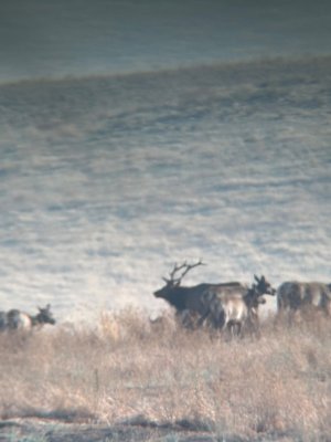 IMG_5111.jpeg