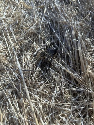 IMG_5119.jpeg