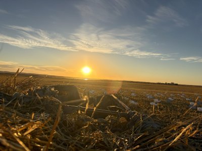 alberta sunset '26.jpg