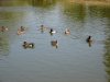 IMG1119_170.jpg