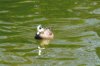 IMG_20150814_0009.jpg