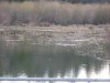 IMG1004_129.jpg