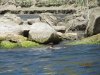 el cap 5-30-13 004.JPG