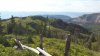 20150814_182215_resized.jpg