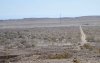 12011706_10205170438208839_280759320_o.jpg