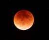 moon.jpg