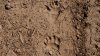 20151113_135258_resized.jpg