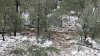20151116_115358_resized.jpg