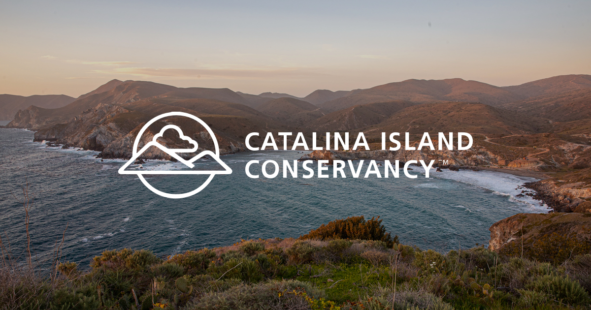 catalinaconservancy.org