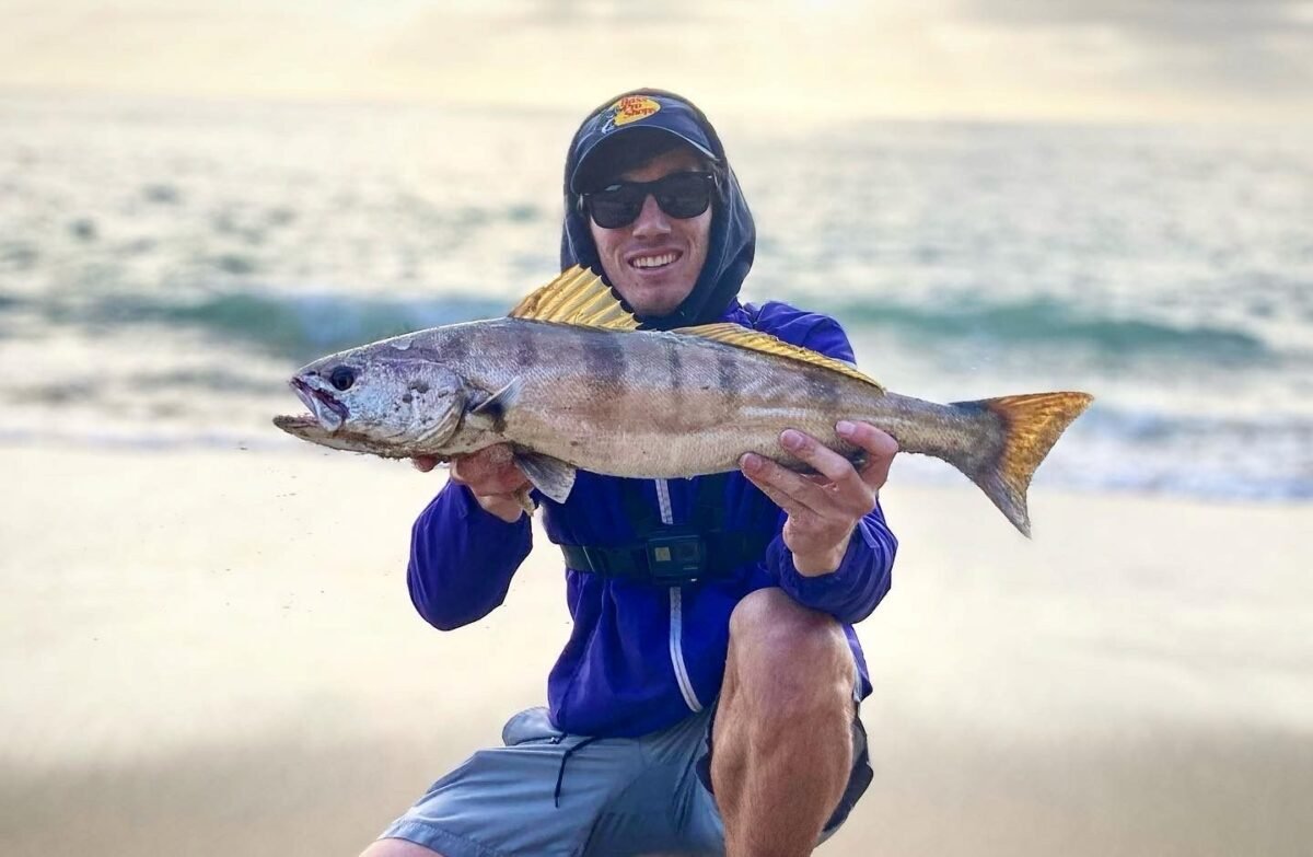 surffishingsocalsd.com