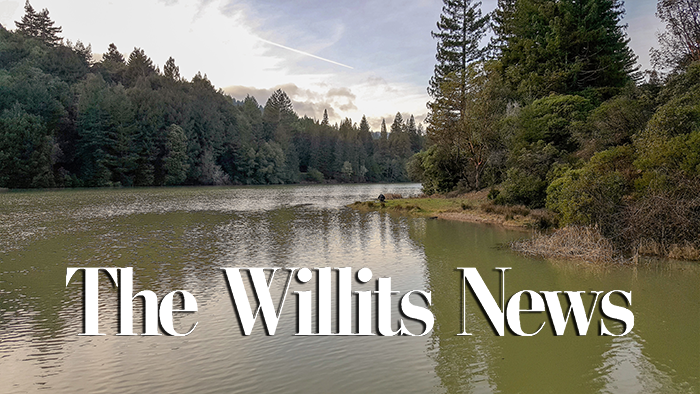 www.willitsnews.com