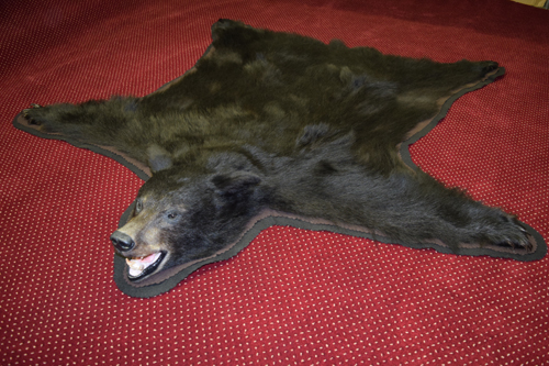 Bear-rug-1.jpg