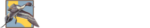 click.email.active.com